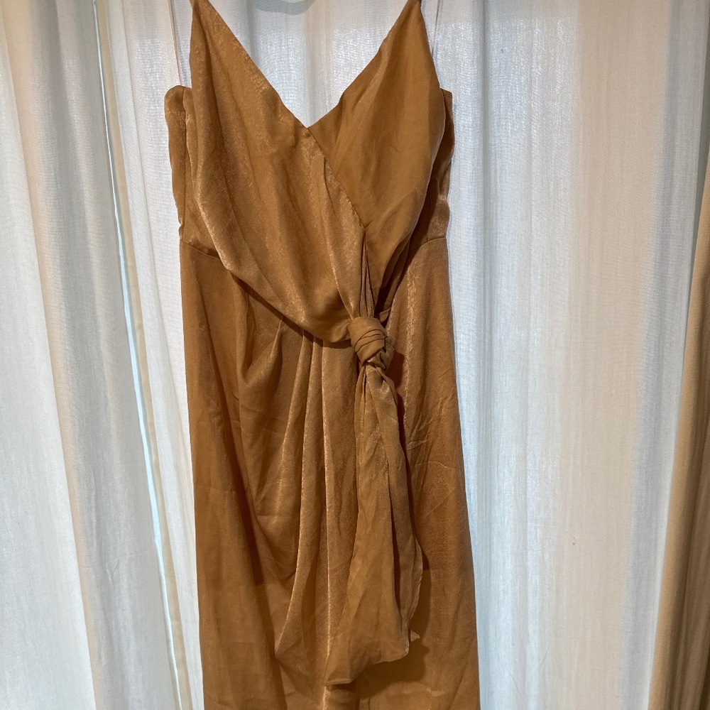 Baltic Born tan satin dress